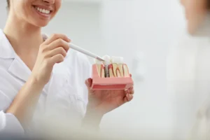 dental implant maintenance demonstration with a dentist explaining proper care using a tooth implant model